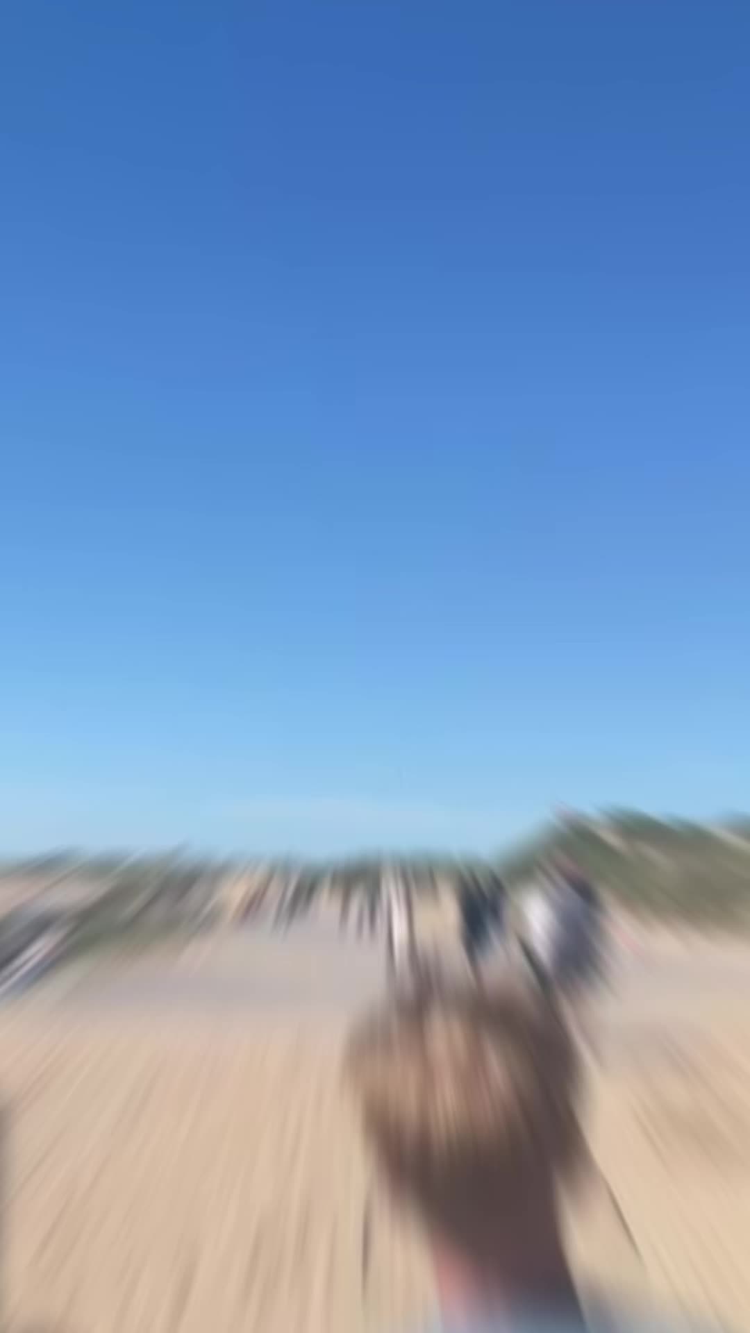 @pammy
