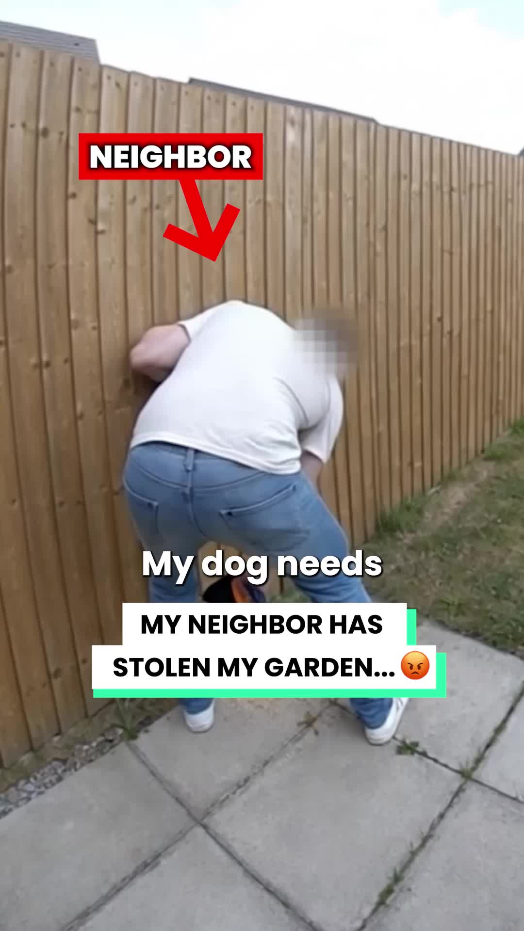 @Go Fetch