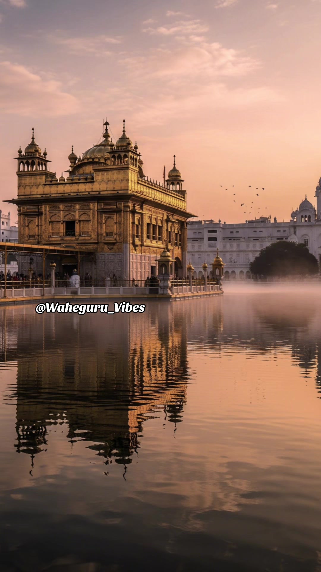@Waheguru_Vibes