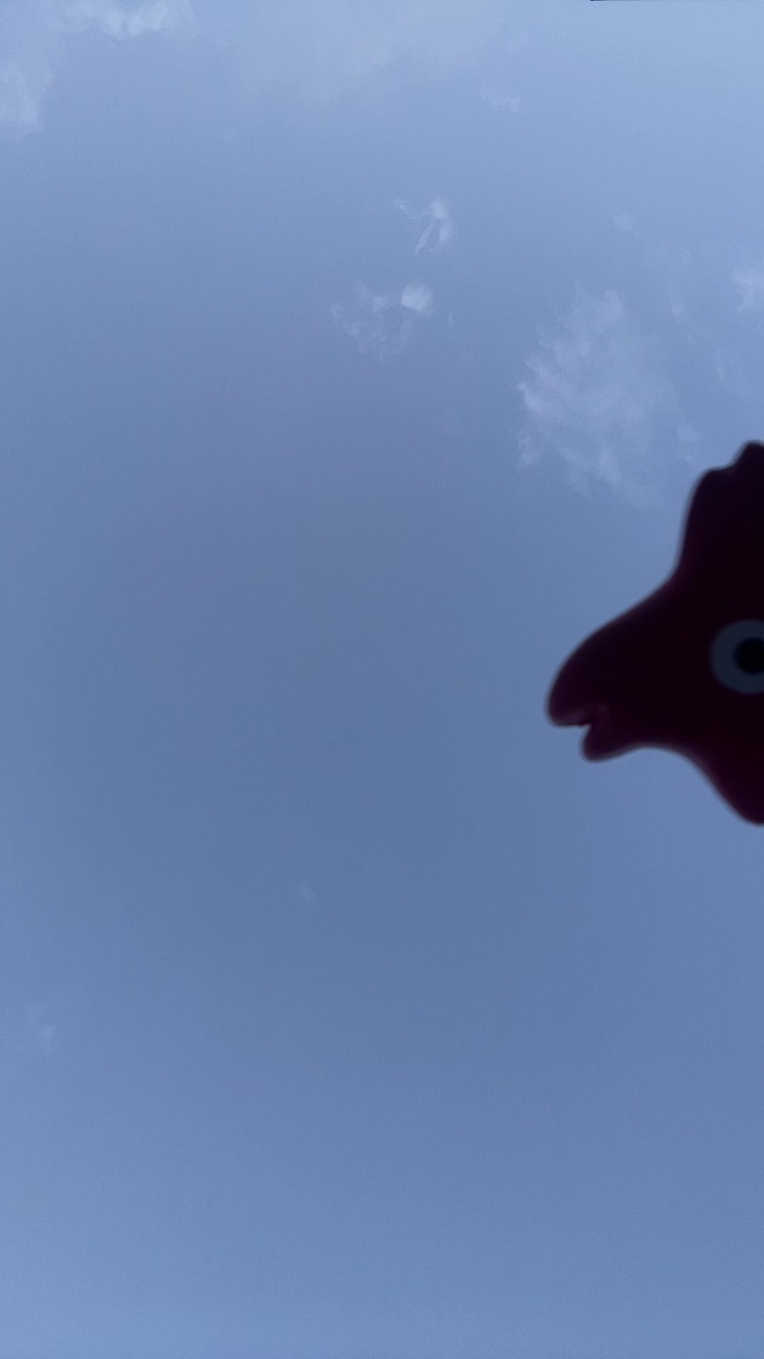 @F A L K O
