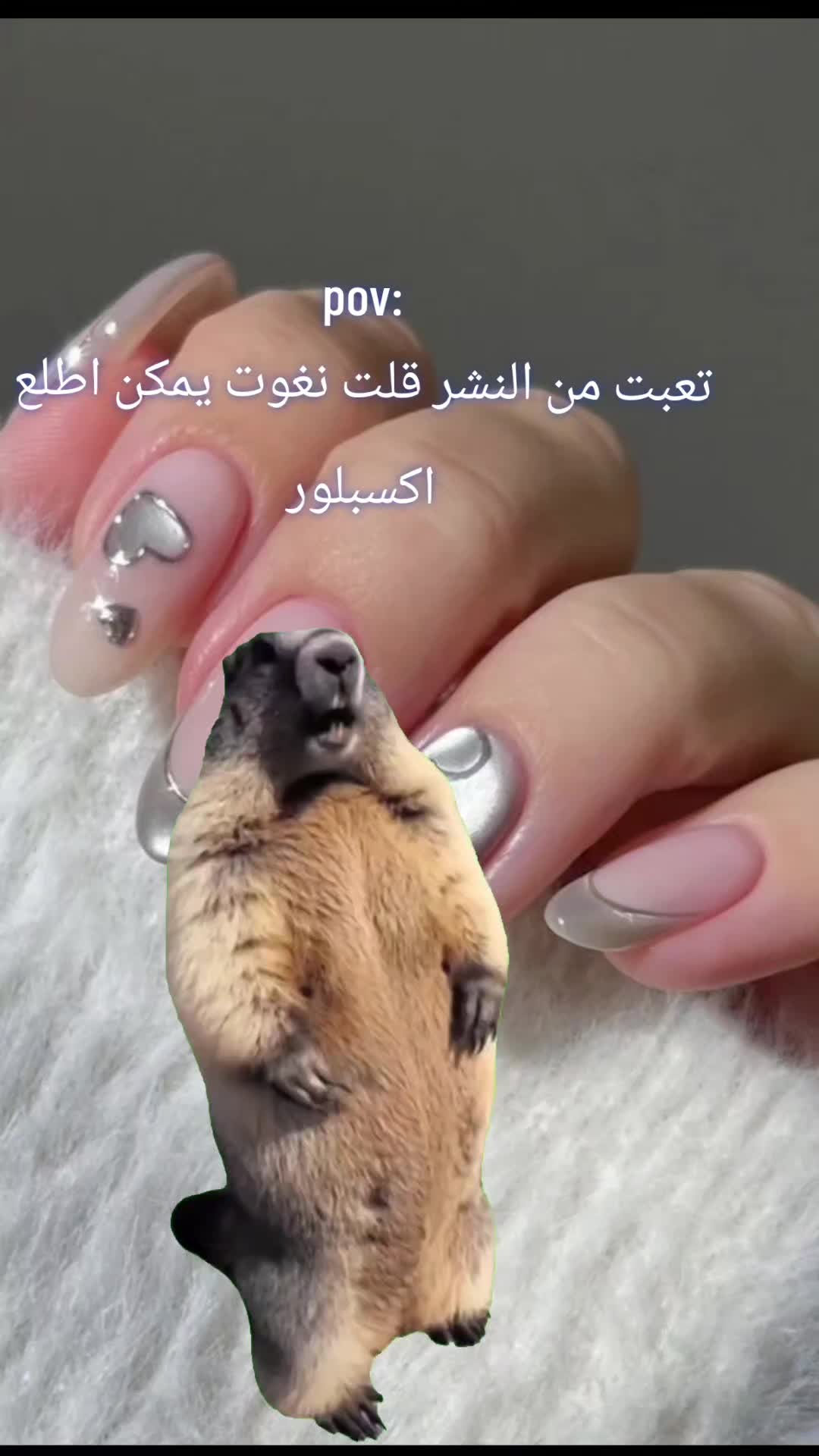 @العريفة🇬🇧أم الاسودMUM LIONS