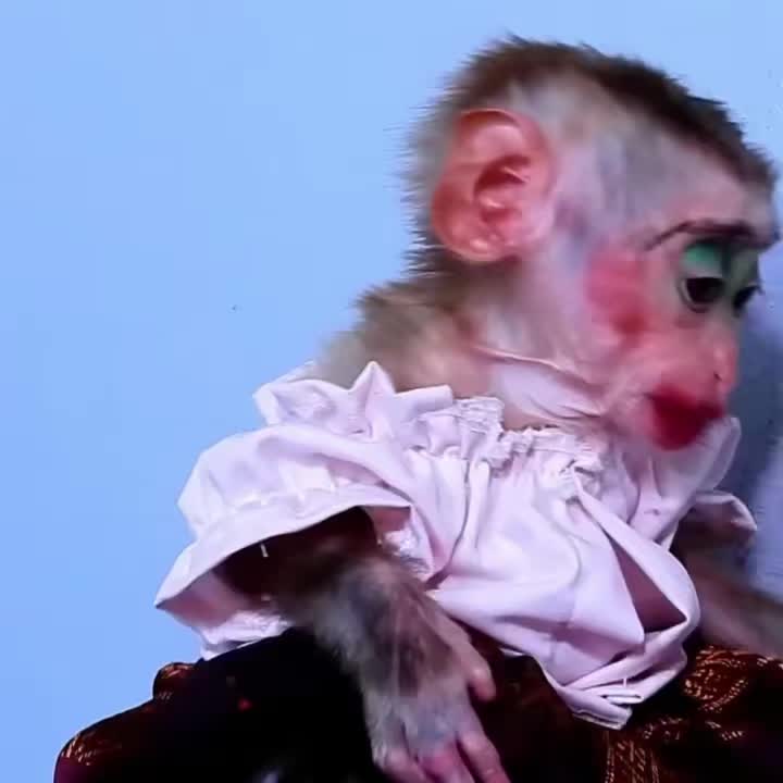 @monkeymoo666