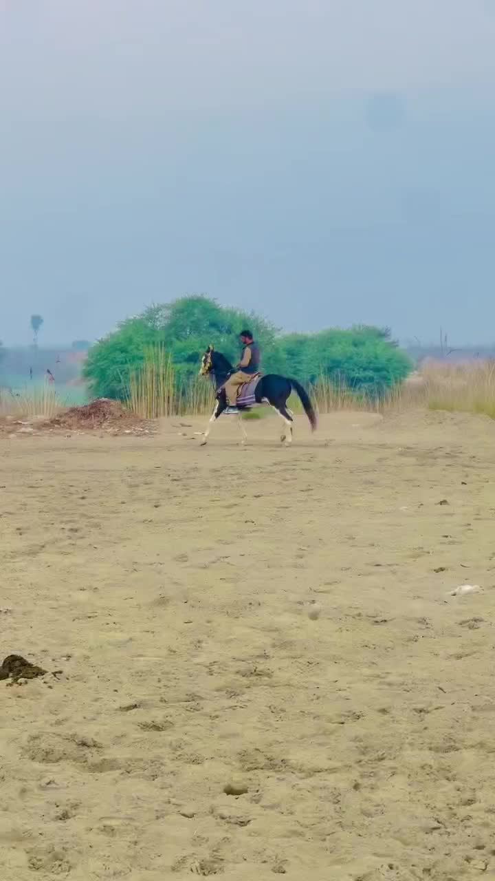 @Malik Ali Abbas Saggu🔥