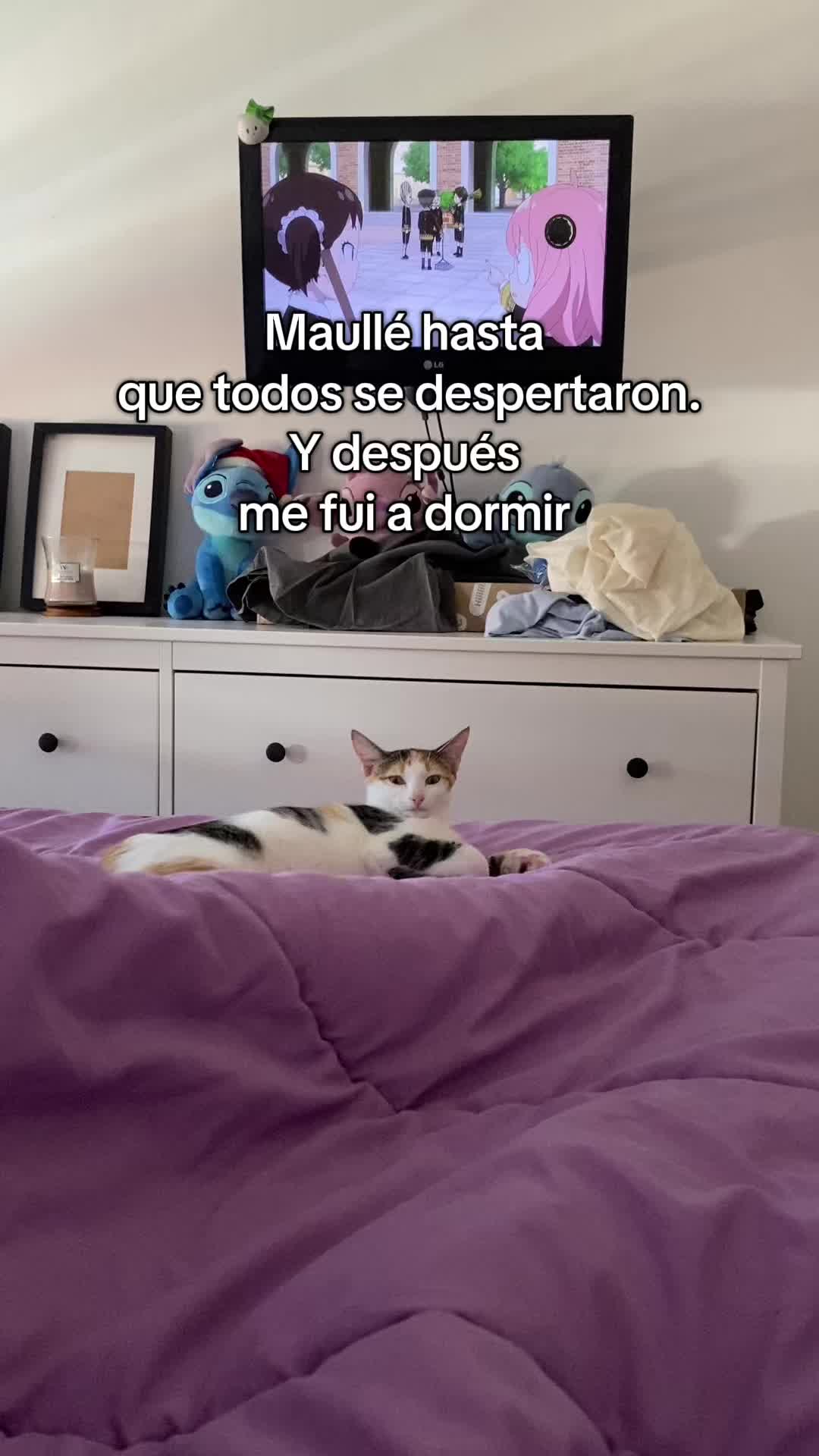 @- Alejandra 🐱💕