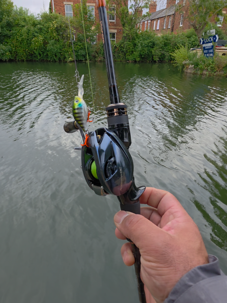 @BF Angler
