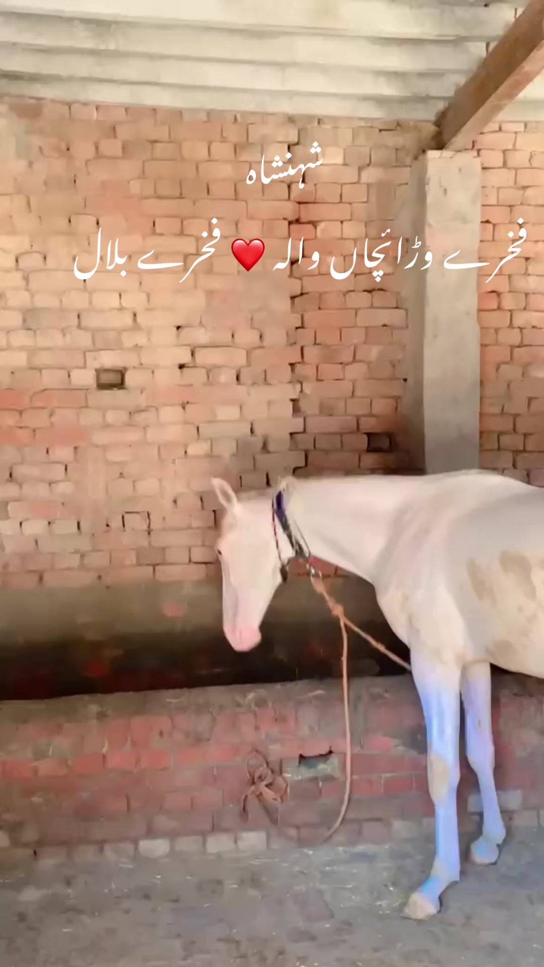 @❗️GUJJAR ✌️ SAAB❗️