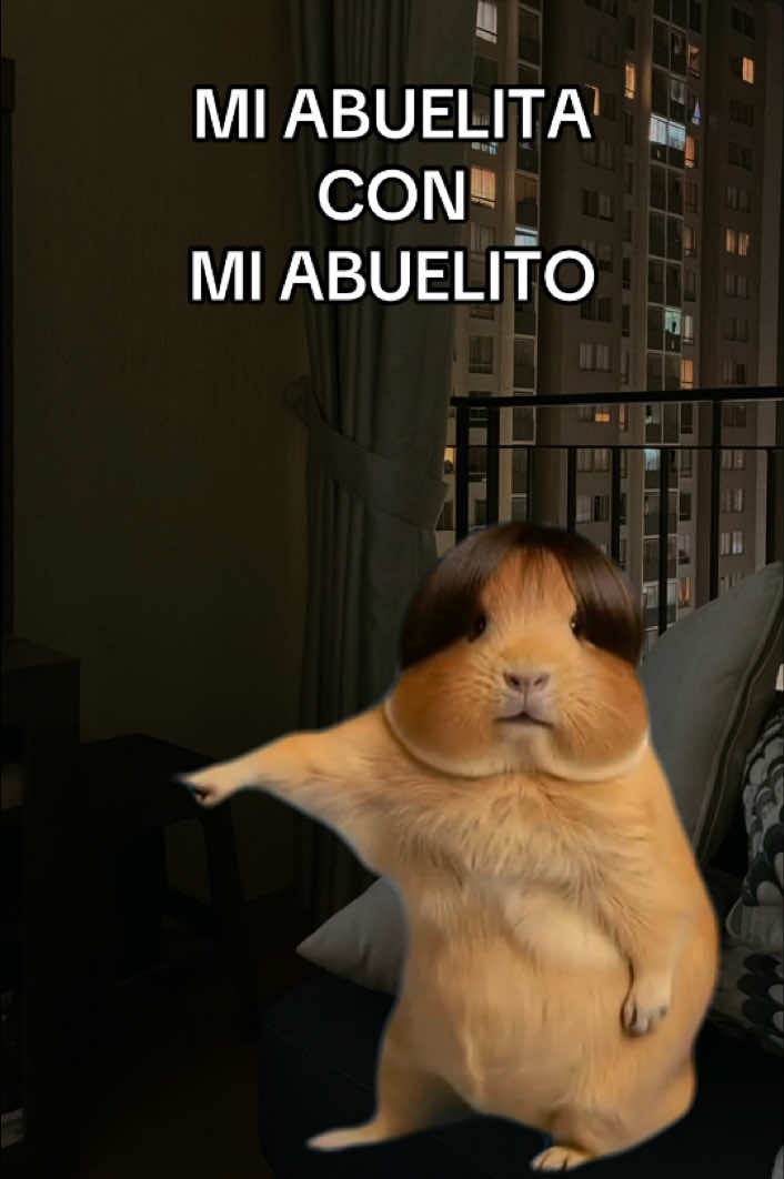 @jansonmania
