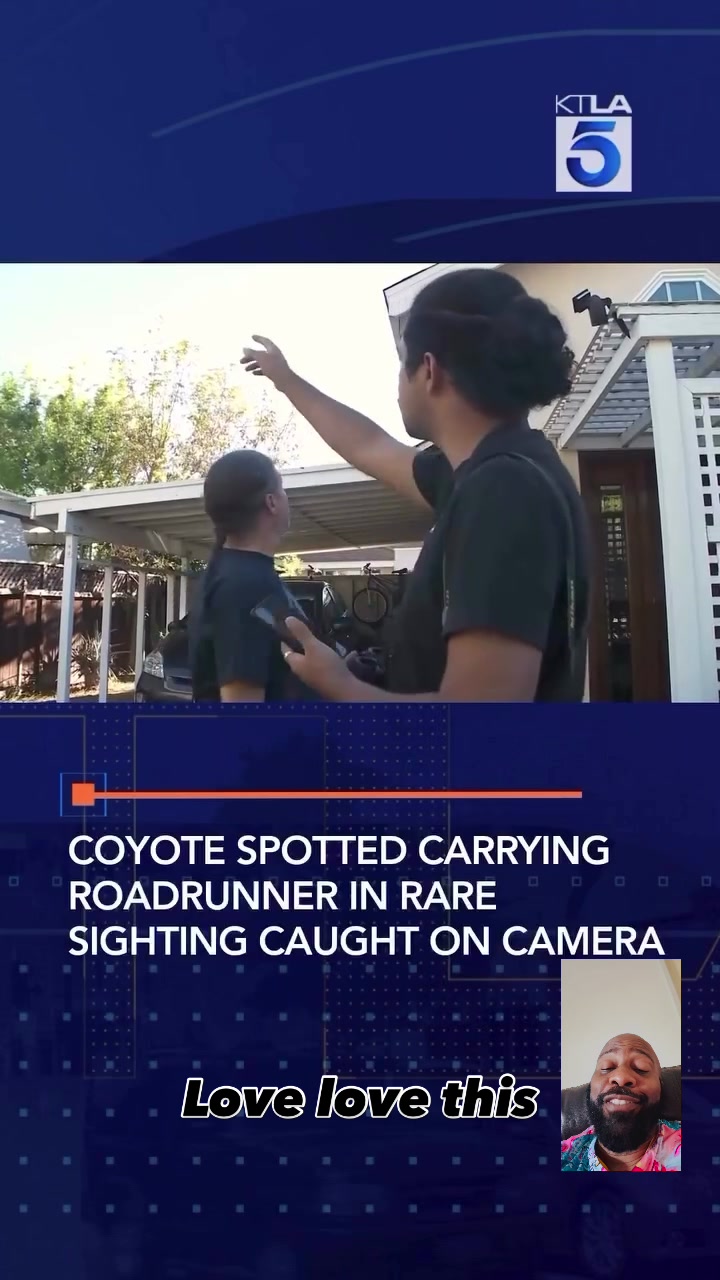 @LearnedMan