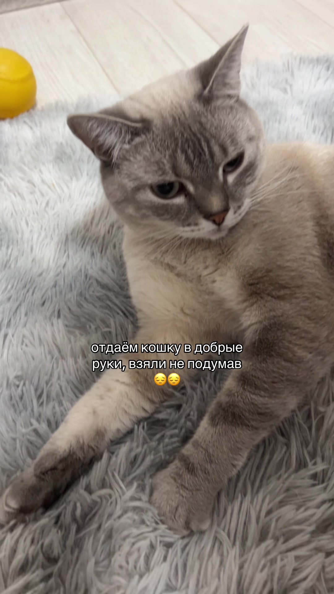@фролова
