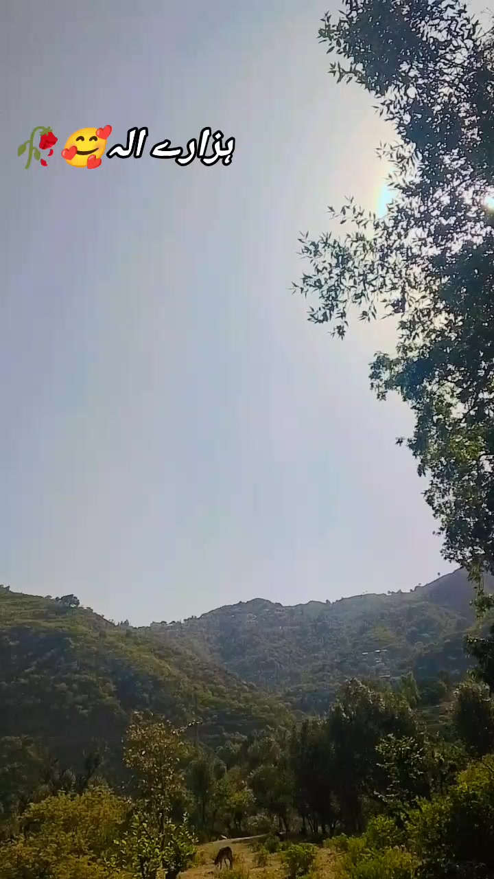 @😎*|Bilal|°|hazarvi |*🥰🥀