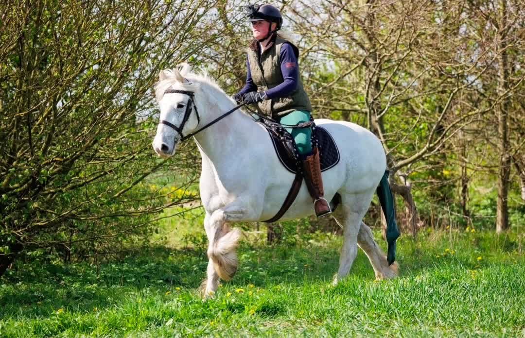 @Chase Gate Equine