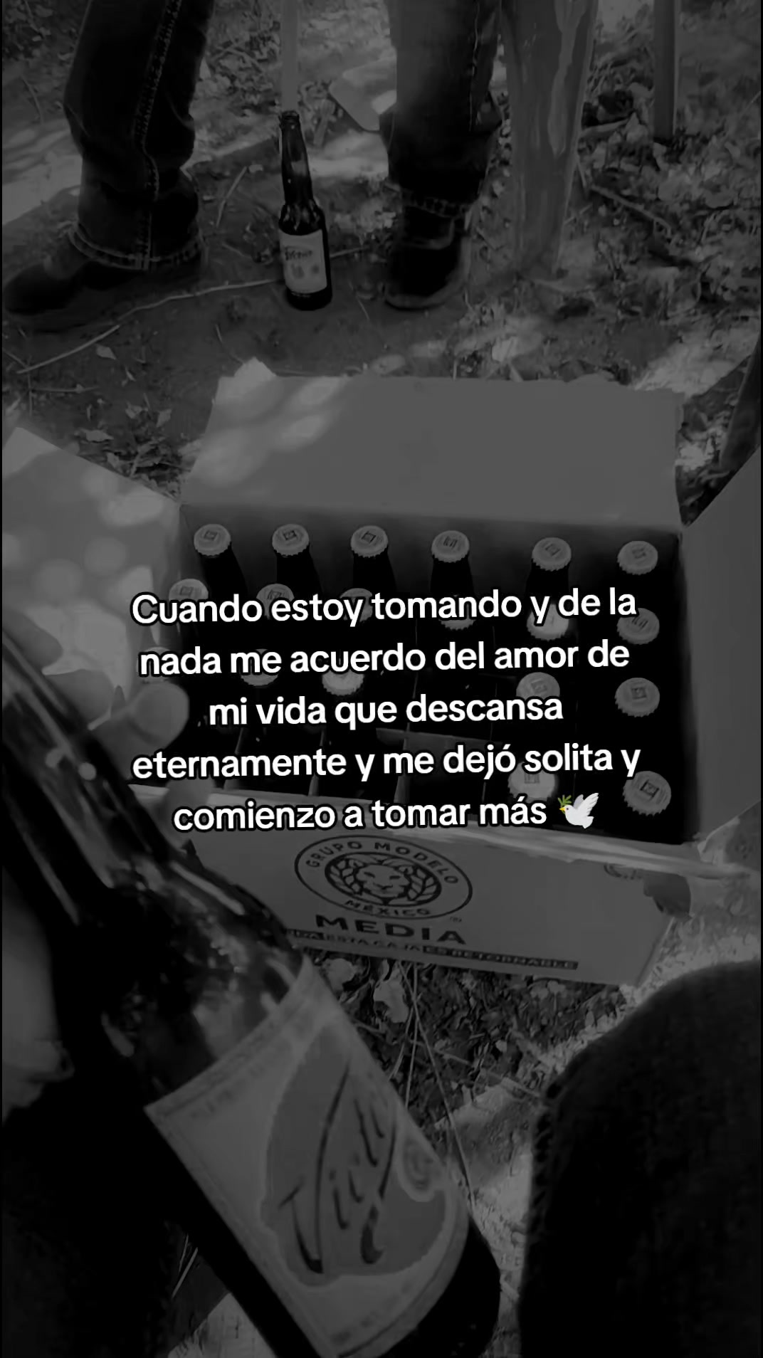 @vaalee 🎀