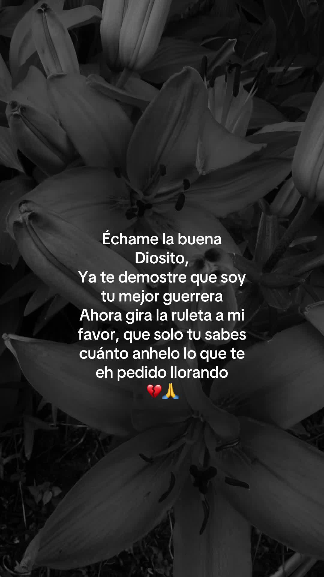@💗