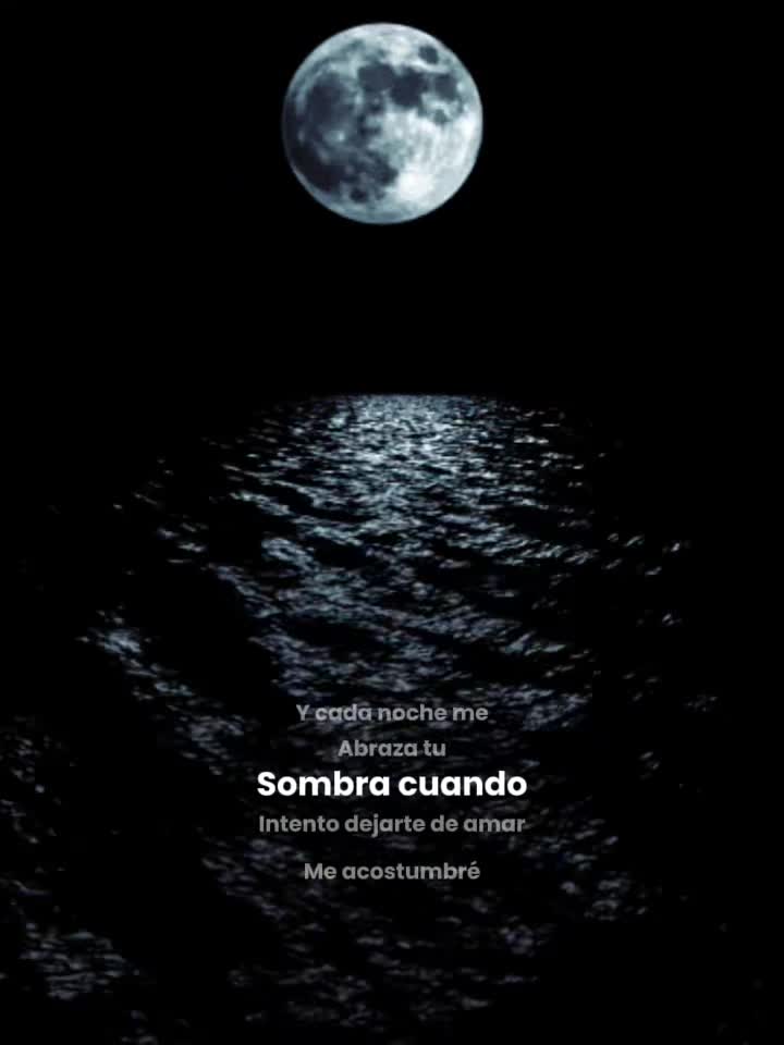 @guadalupearaiza335