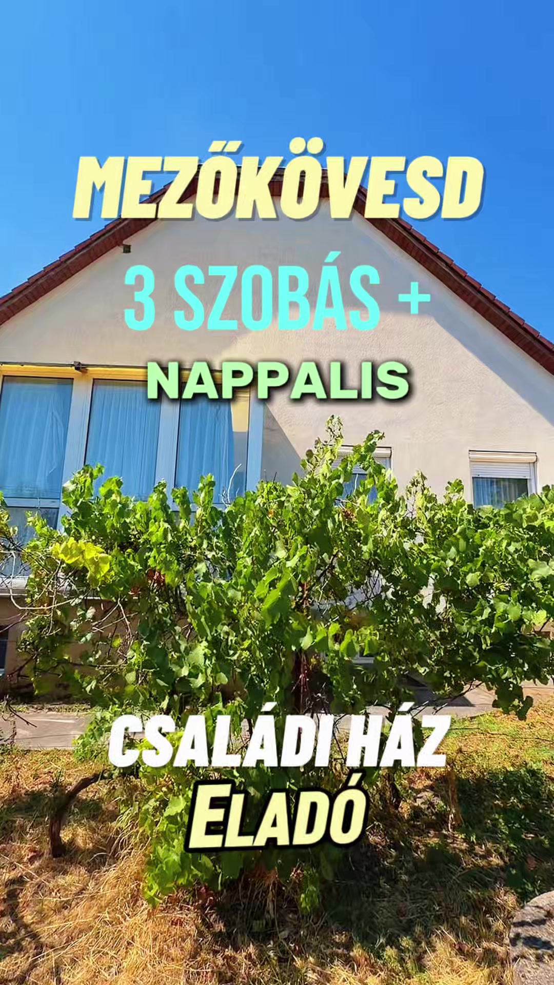 @TOP INGATLAN MEZŐKÖVESD