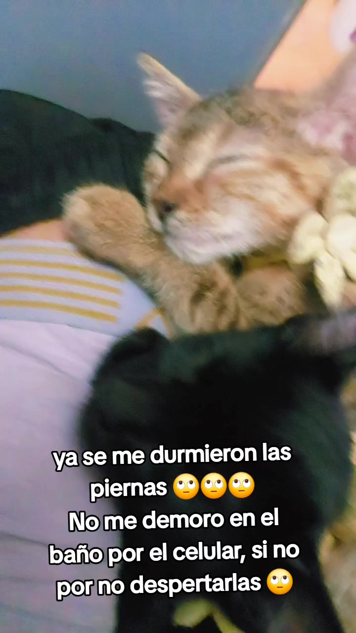 @Cristian Andres Bern