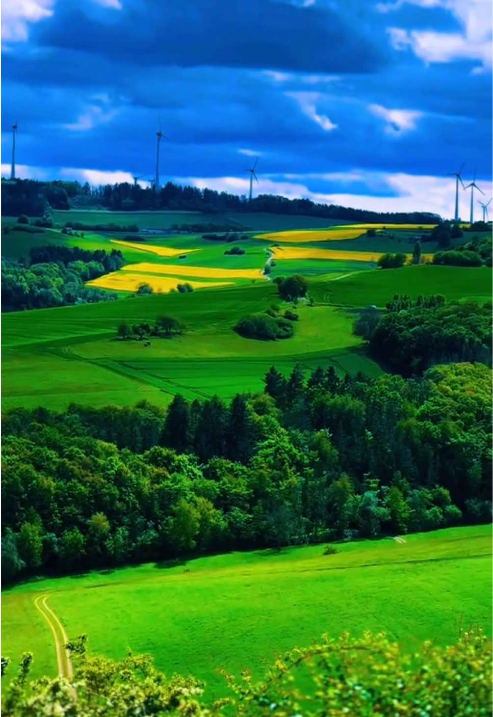 @Greening7ven🌎🪐