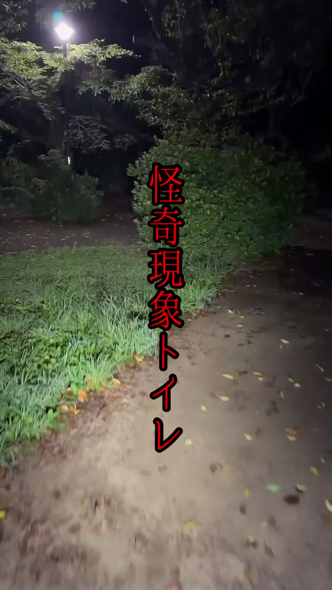 @こうぞう(kouzou)