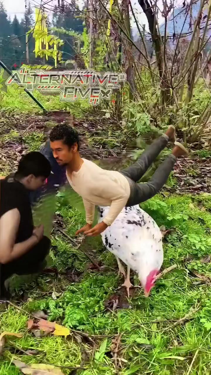 @alternative_five