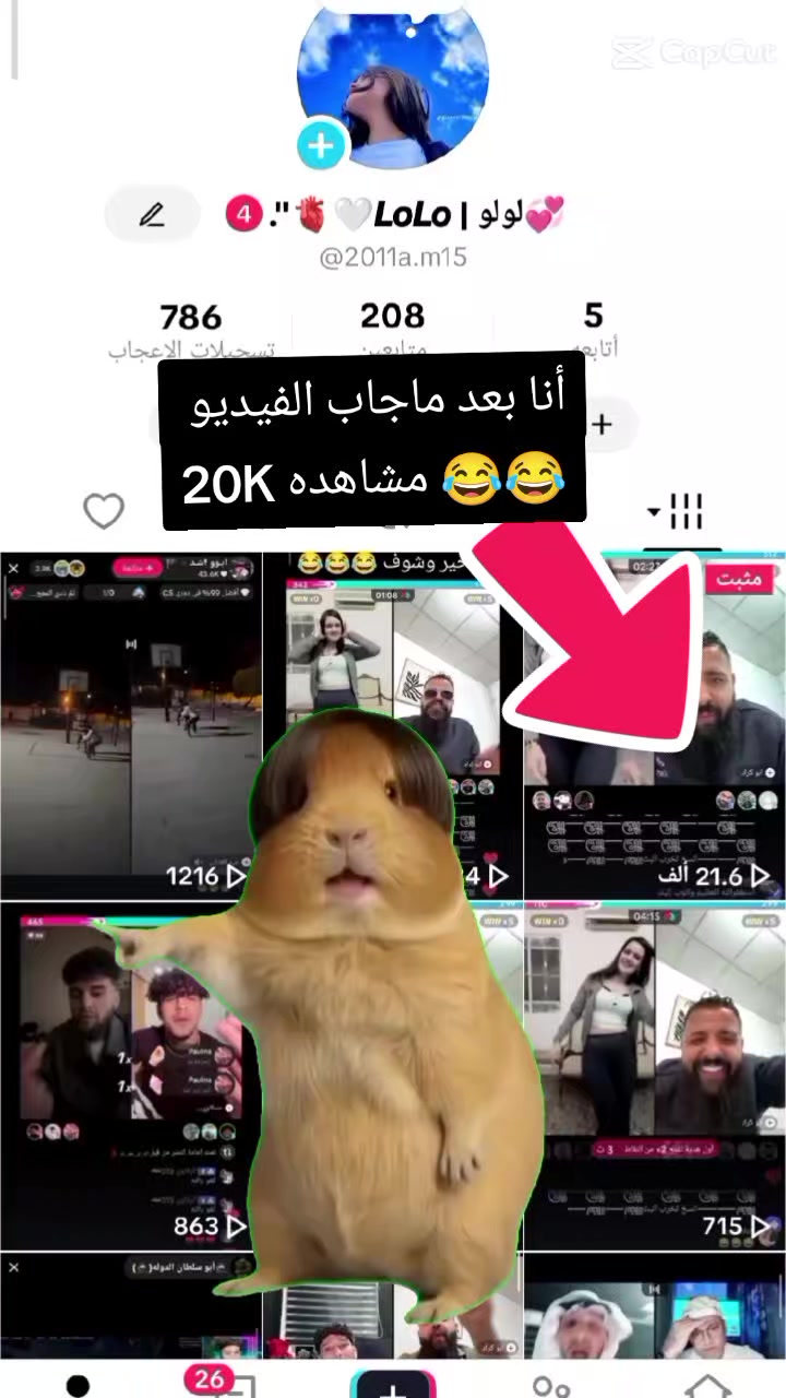 @💞لولو | 𝙇𝙤𝙇𝙤🤍🫀".