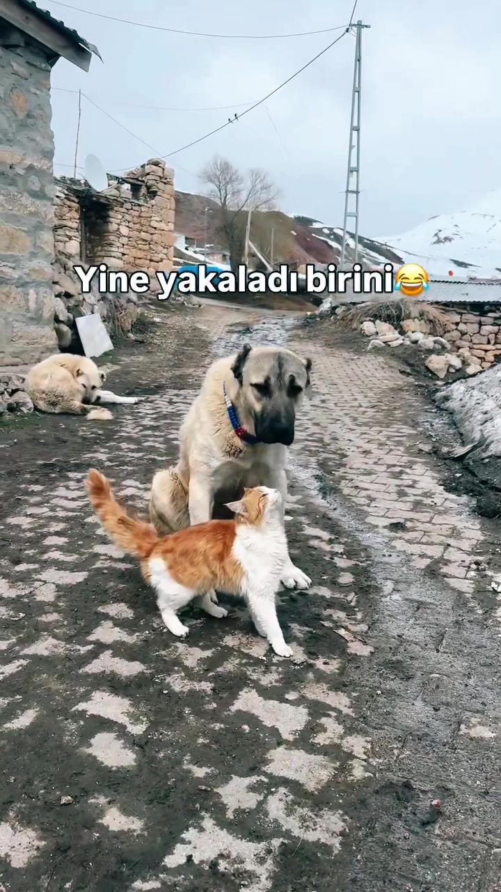 @šš¢š„šš§ šš§šš® šš