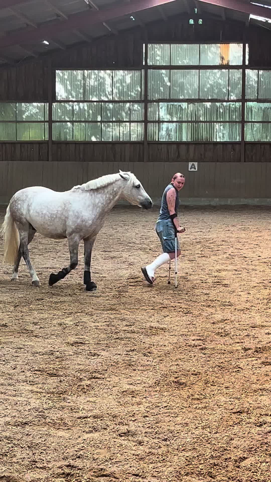 @sunny_the_pony20