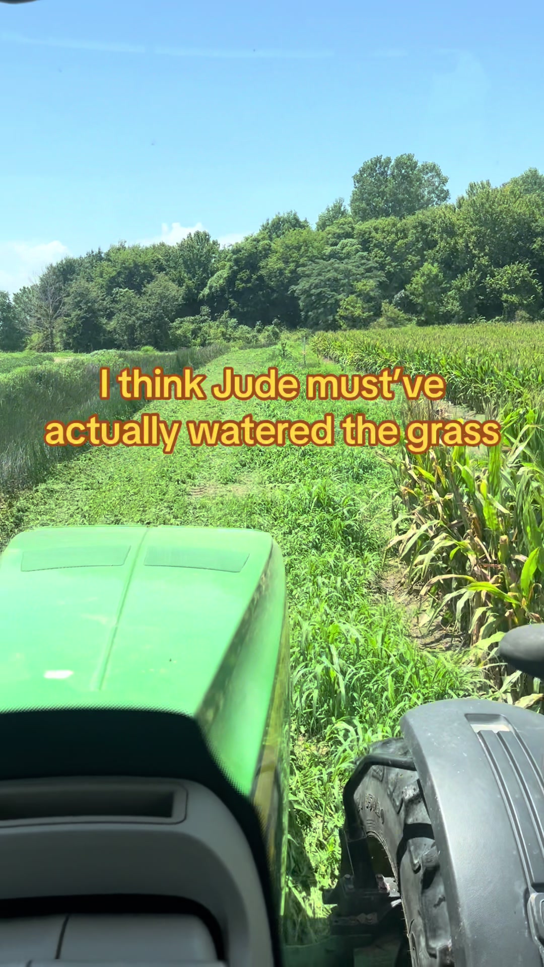 @hookfamilyfarms