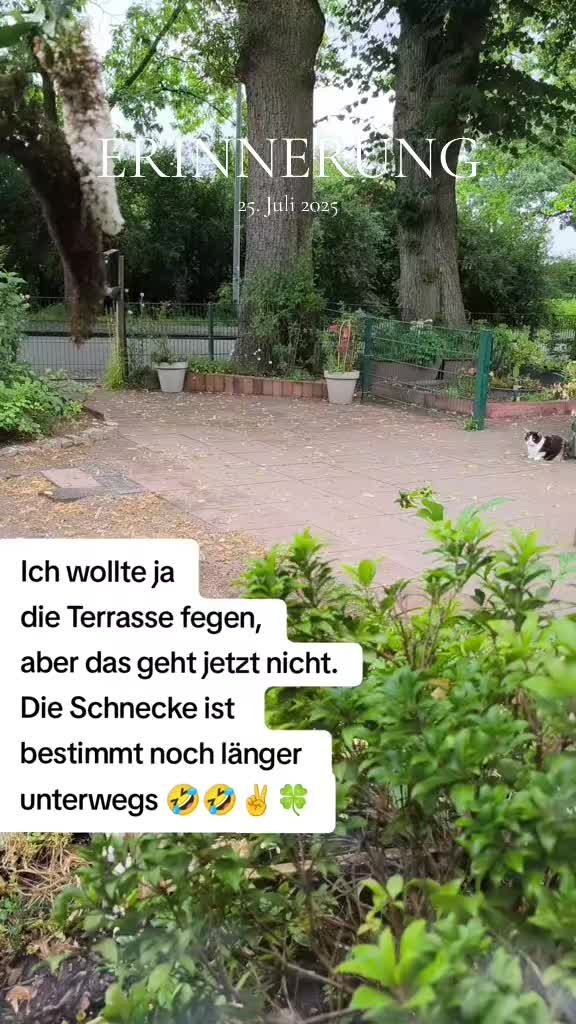 @Nelfe🔆