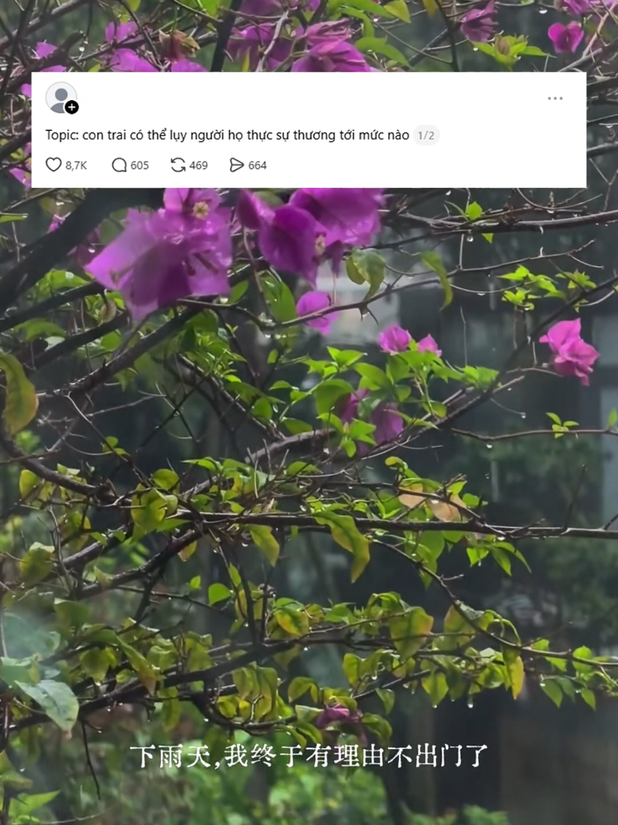 @Anne tr&ecirc;n g&aacute;c m&aacute;i