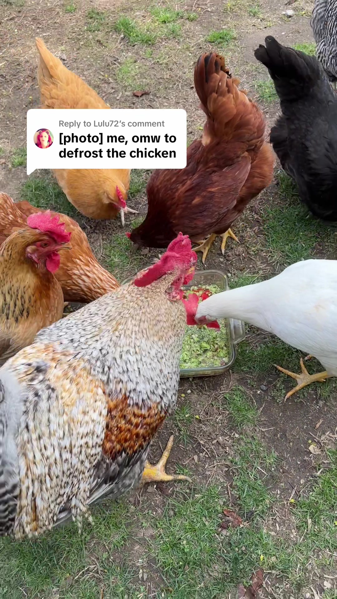 @bloomingmushroom