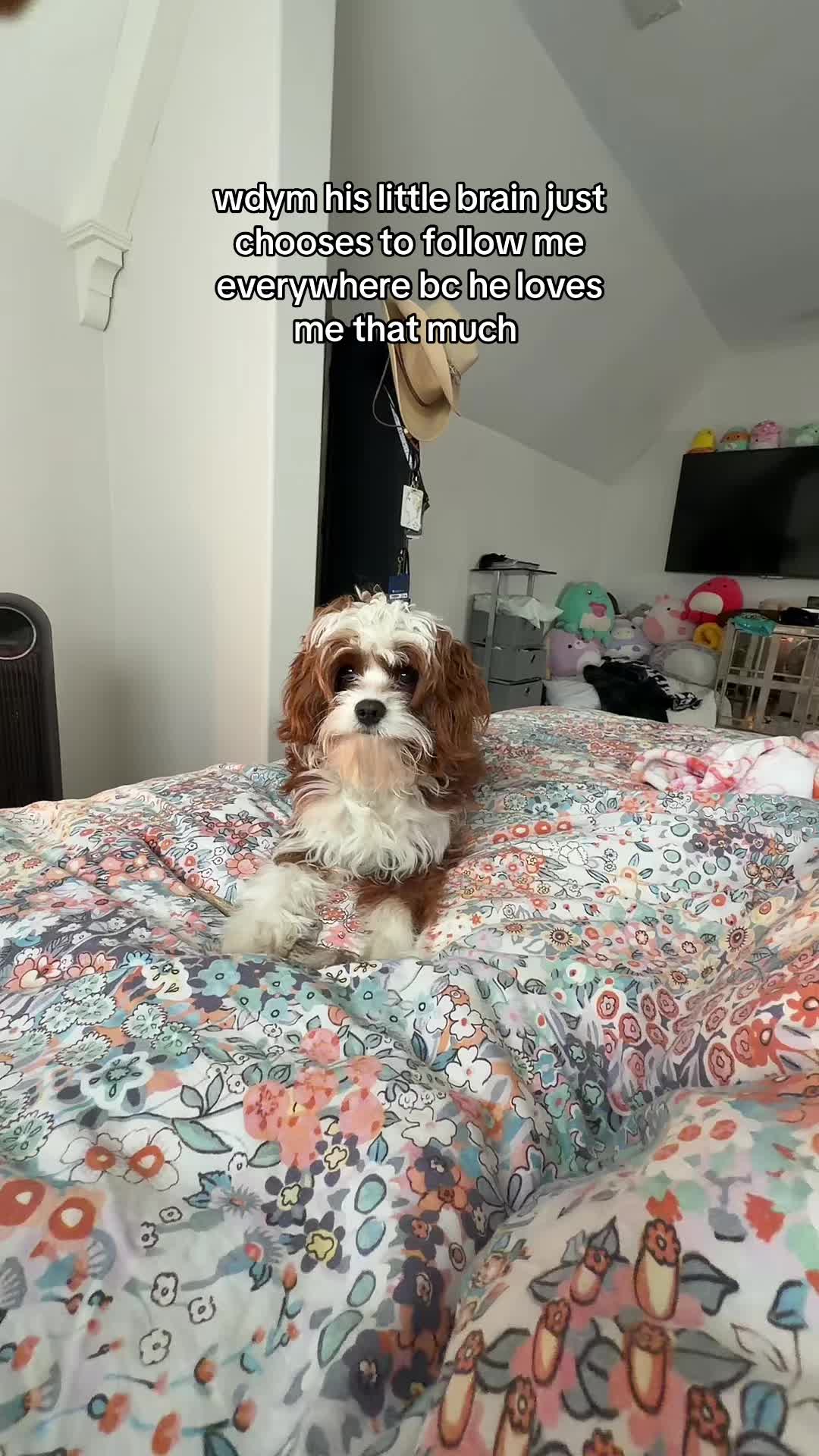 @G