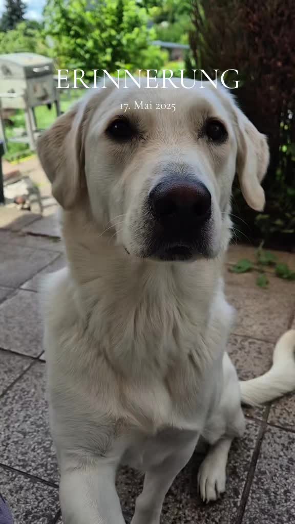 @Nicole🙋🏼♀️ mit 🐕Cora🐾🩷