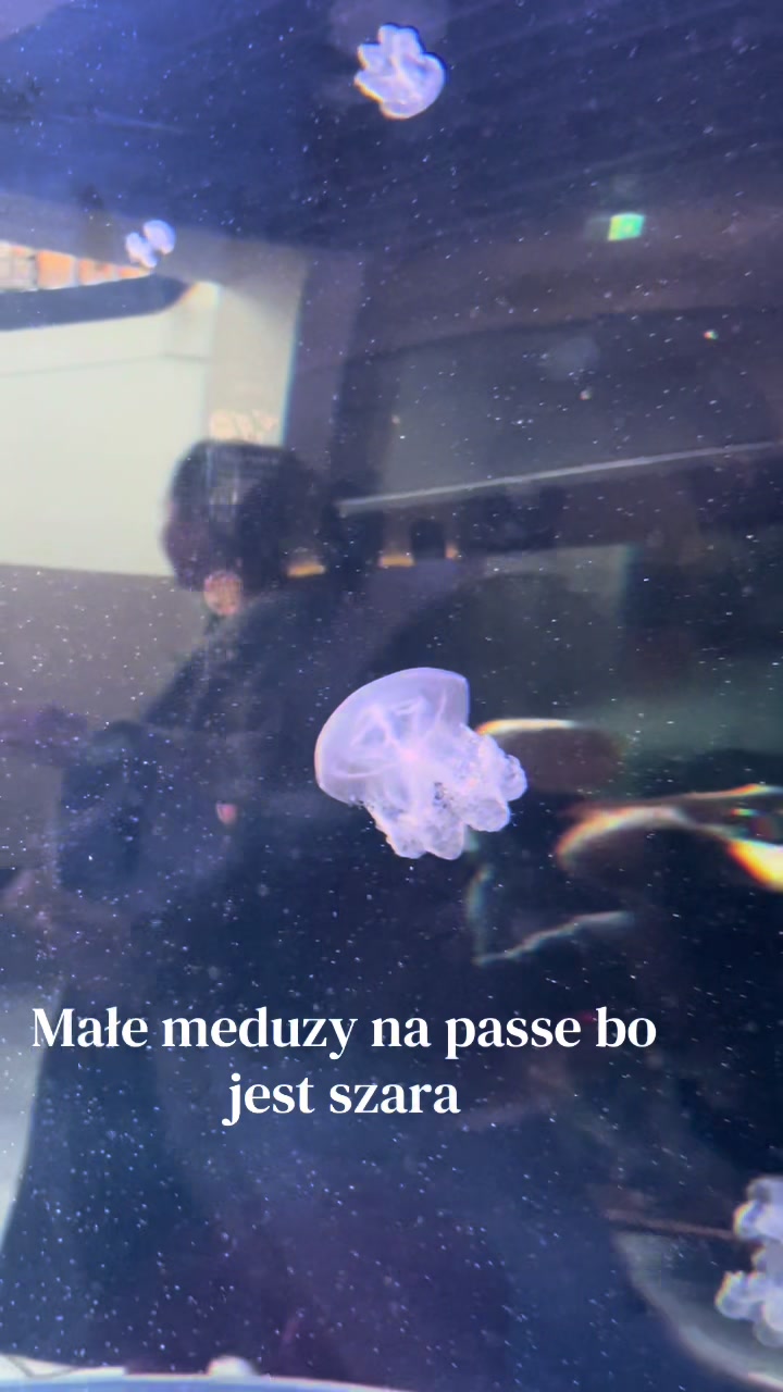 @Marty_nulka💙💚