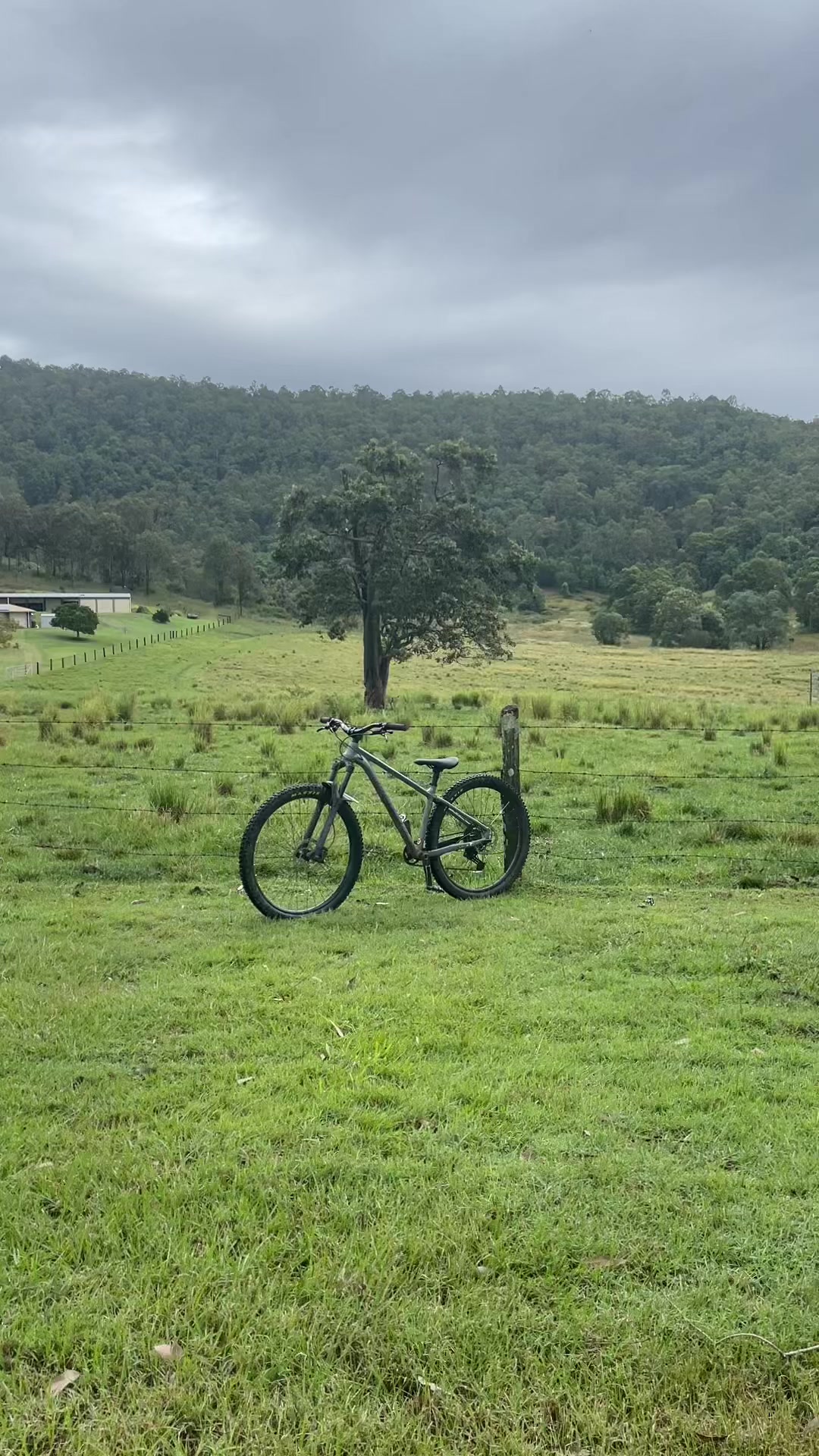 @Minty merida