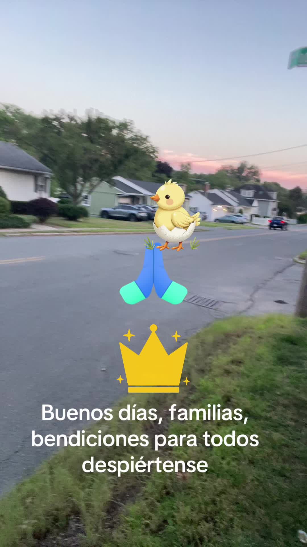 @Angelita Guisha