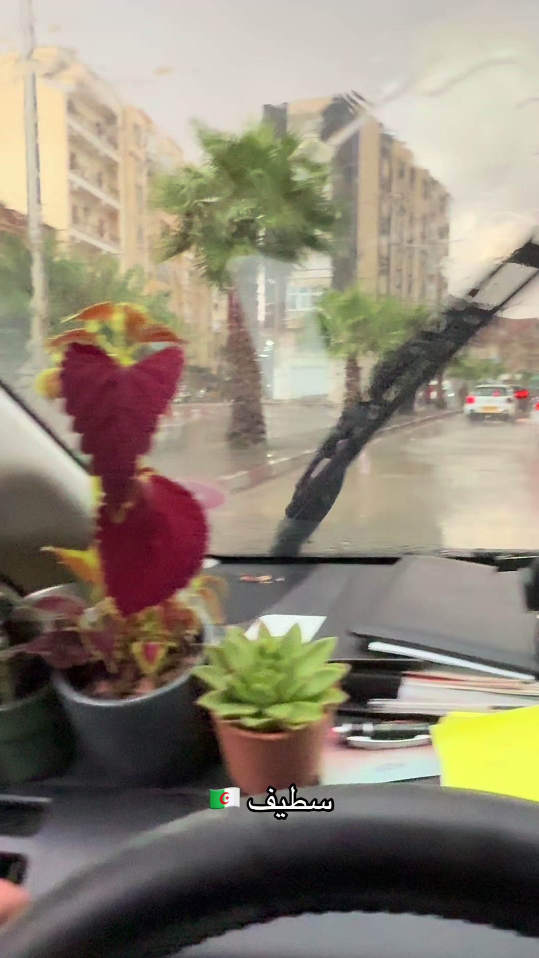 @🇵🇸زُبَير الجَزَاّئِرِي🇩🇿