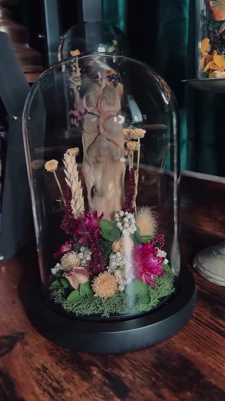 @deadhilloddities