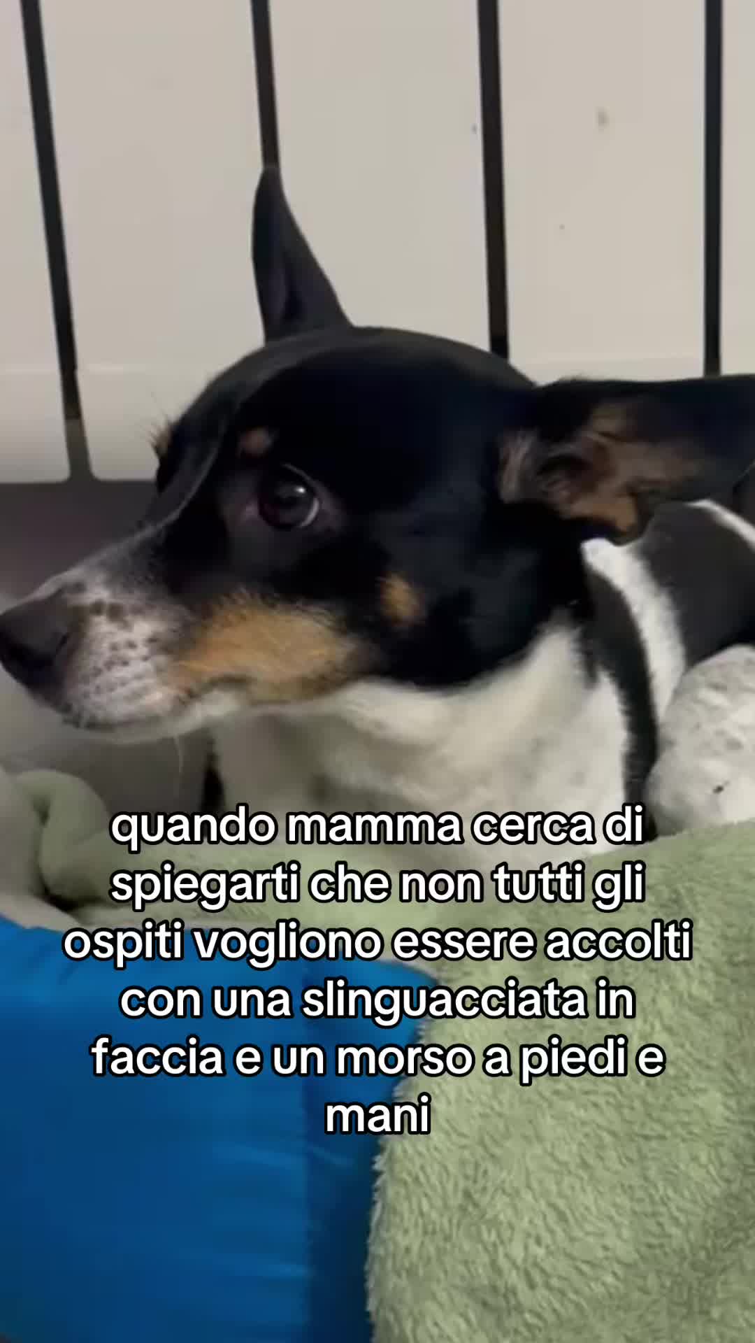 @💎Emanuela80🐾💎
