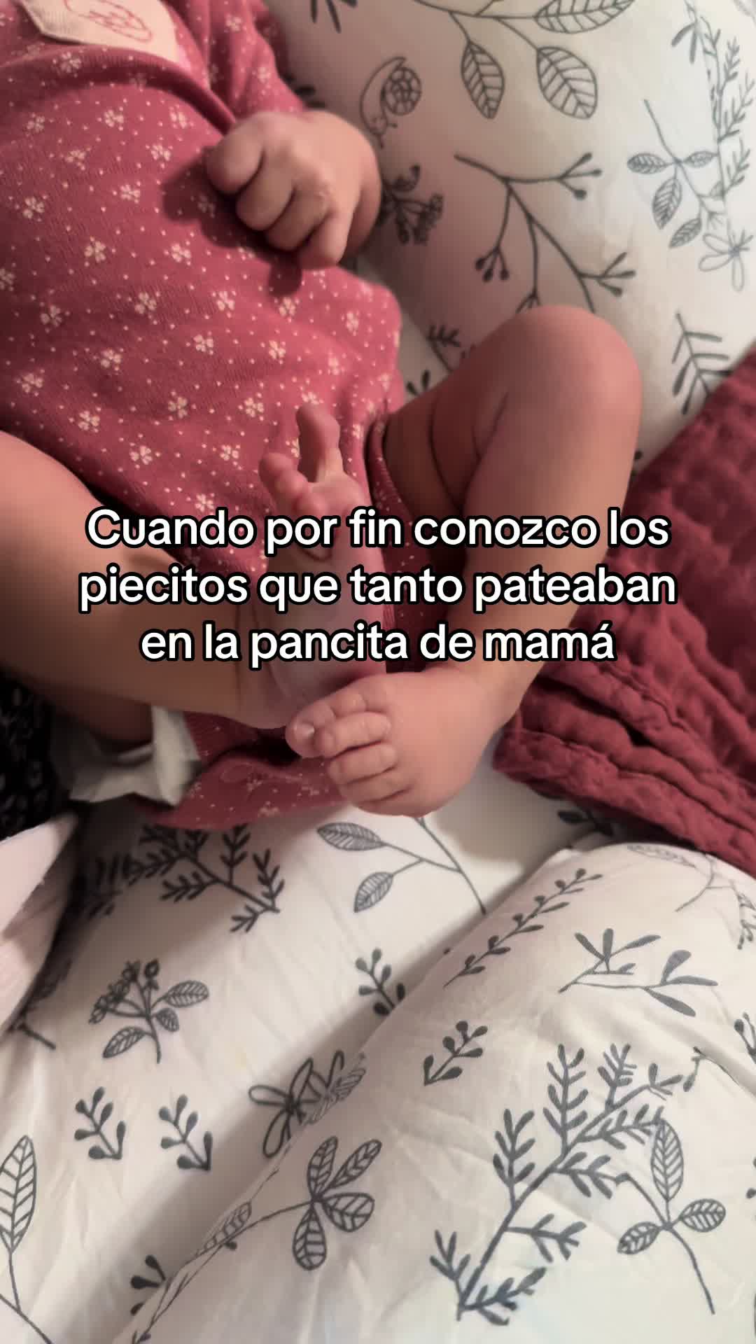 @vanessa.laus