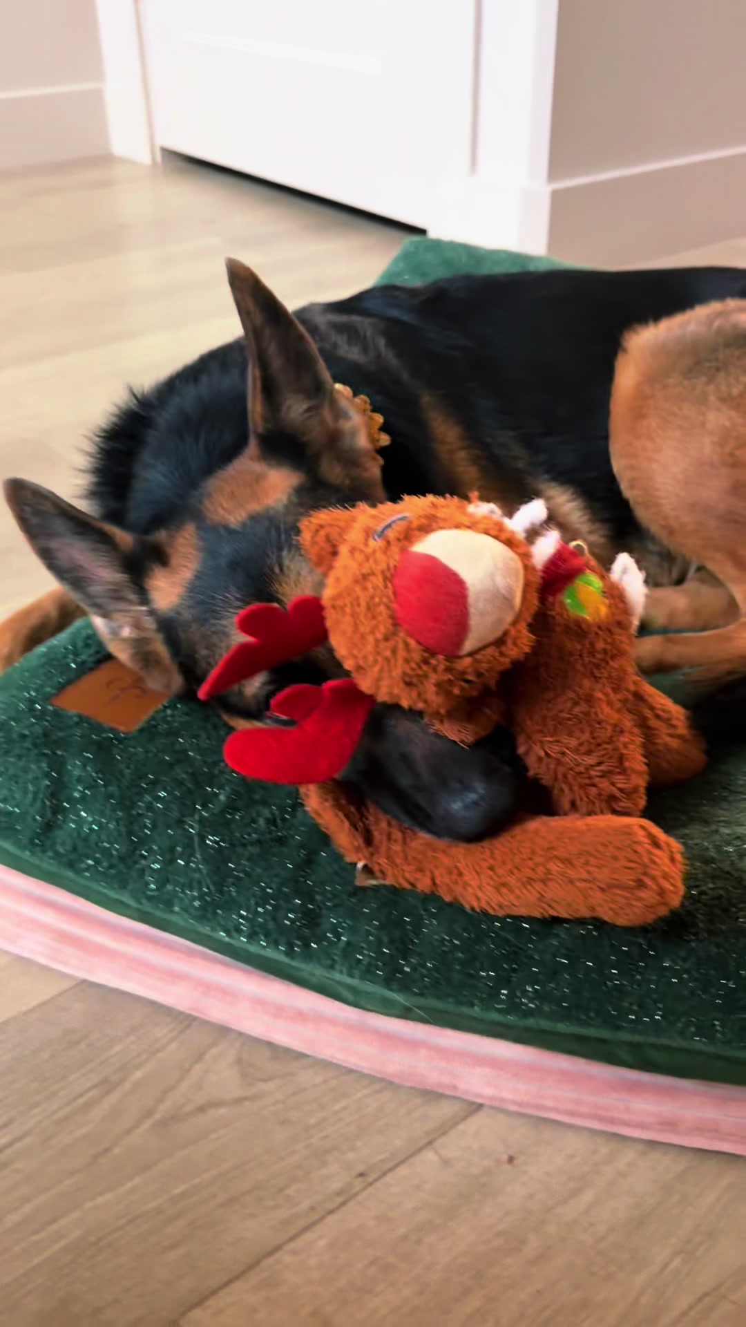 @Rory The Not-Working GSD