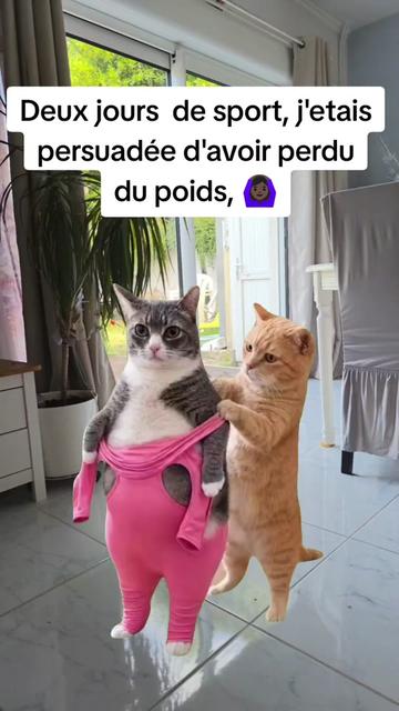 @iode_241