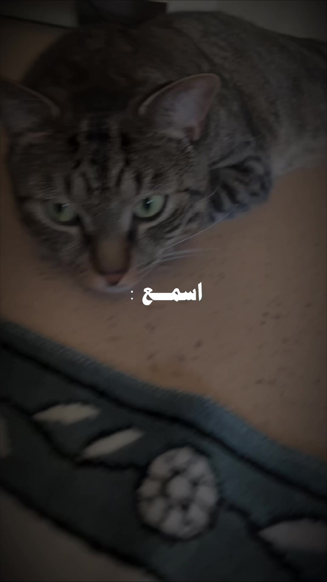 @flasher et simba