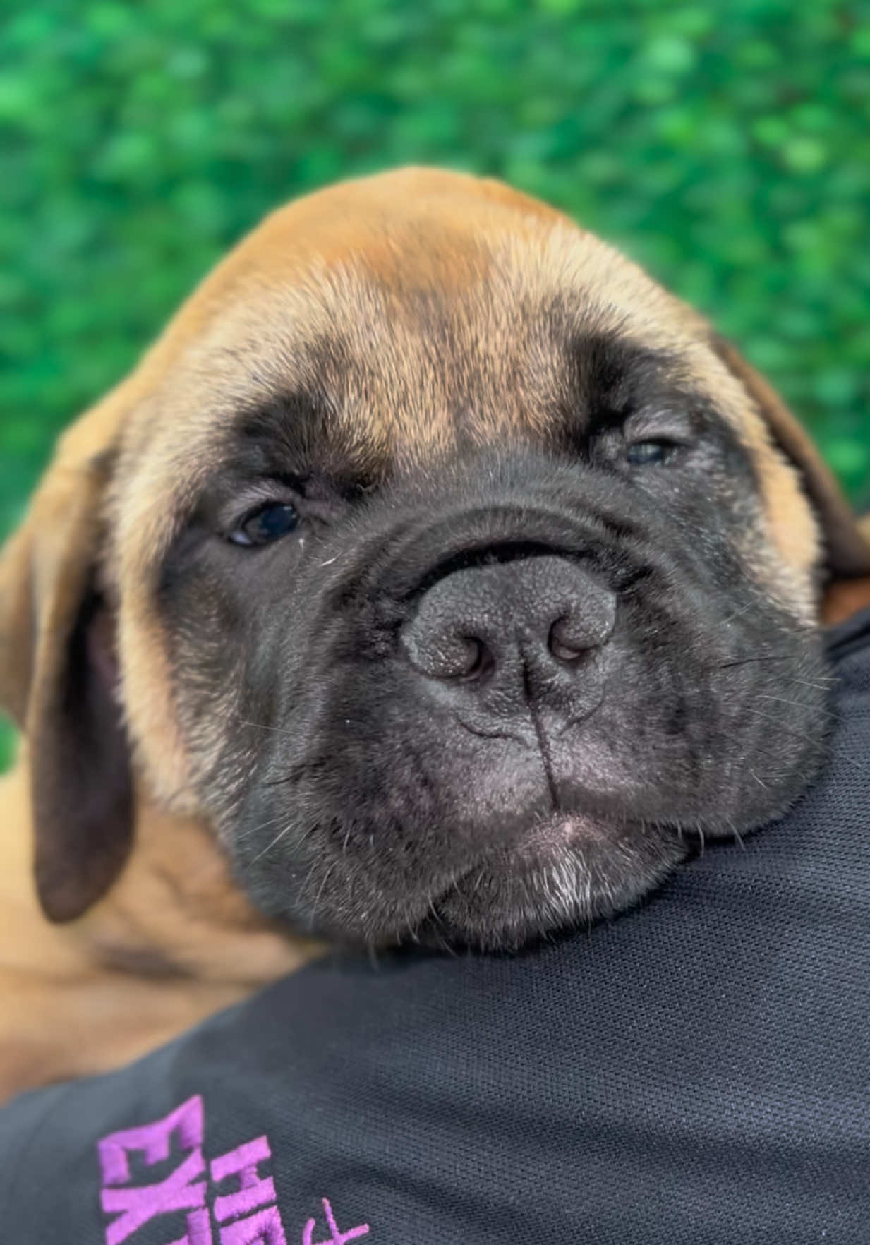 @Petland Oklahoma City