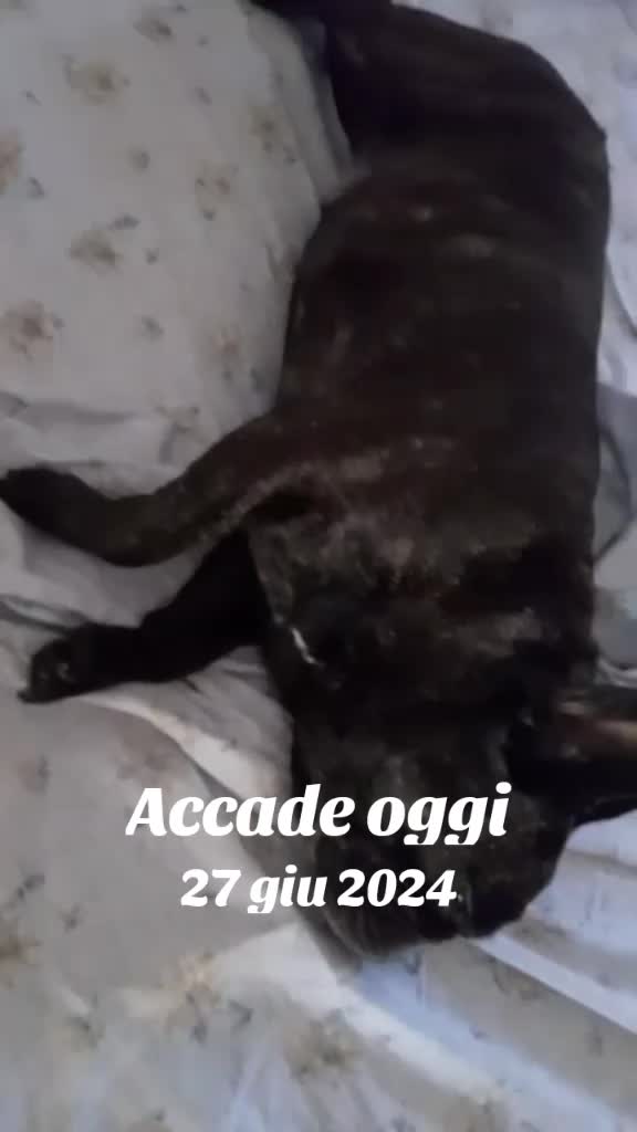 @tiziana