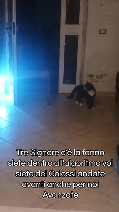 @ELETTRA L'ANIMALISTA