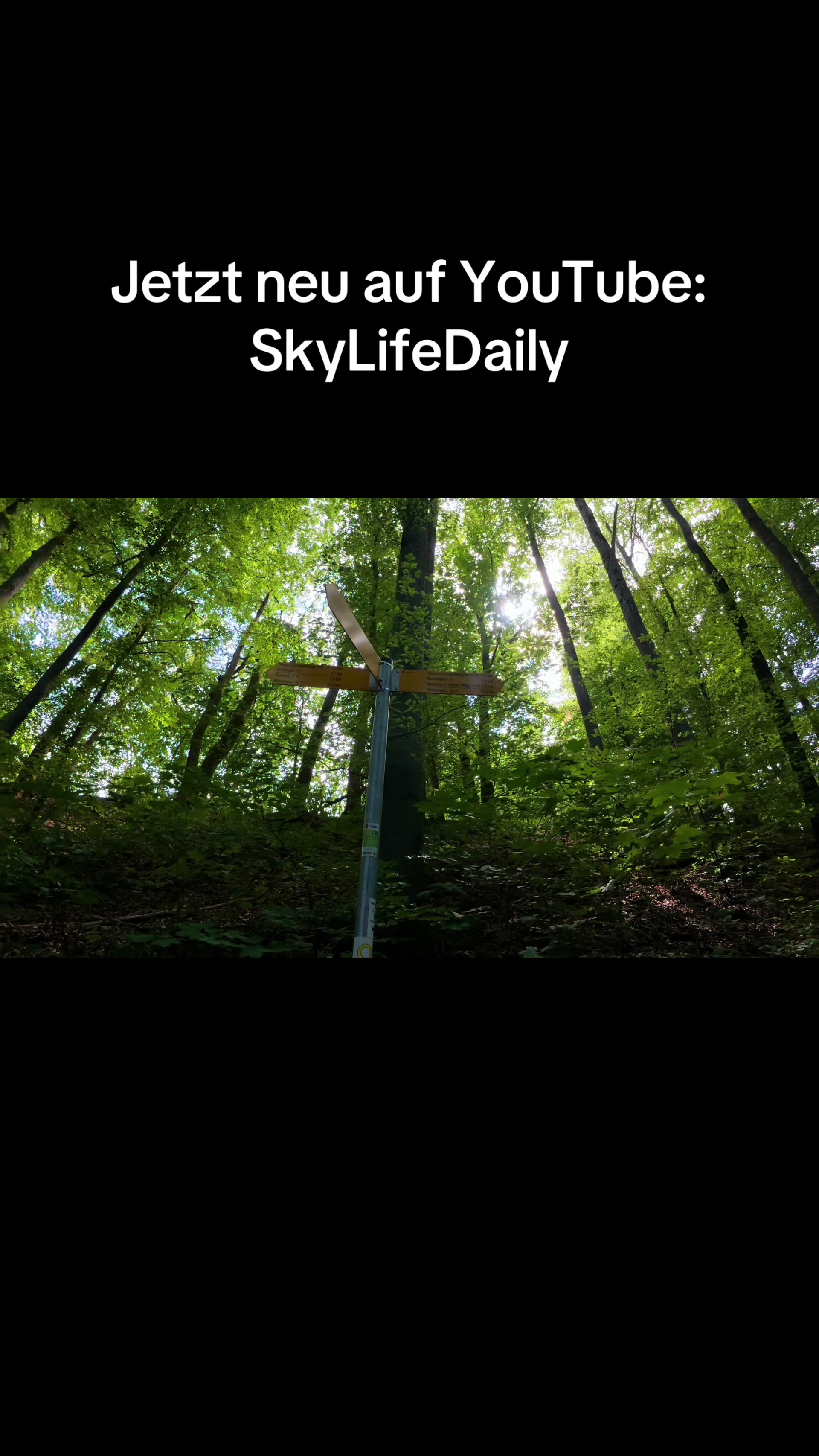 @SkyLifeDaily ✝️