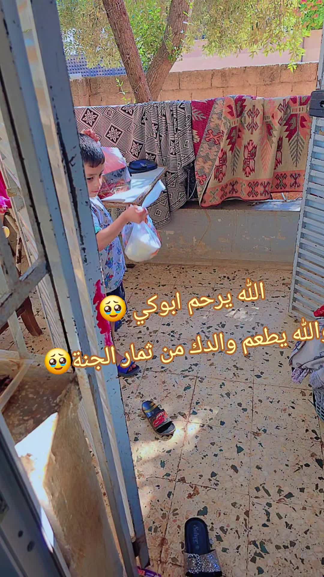 @🌸🌱عائلة لموشي lmosh🌱🌸