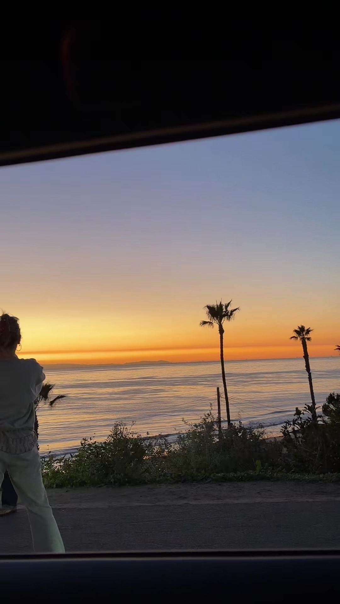 @clairetidwelll777