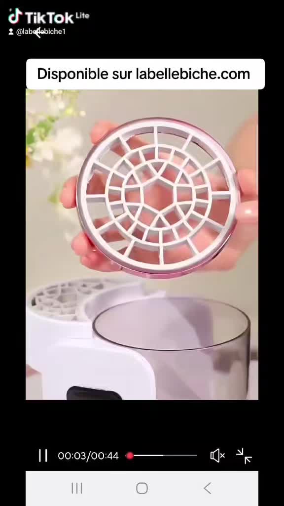 @LaBelleBiche