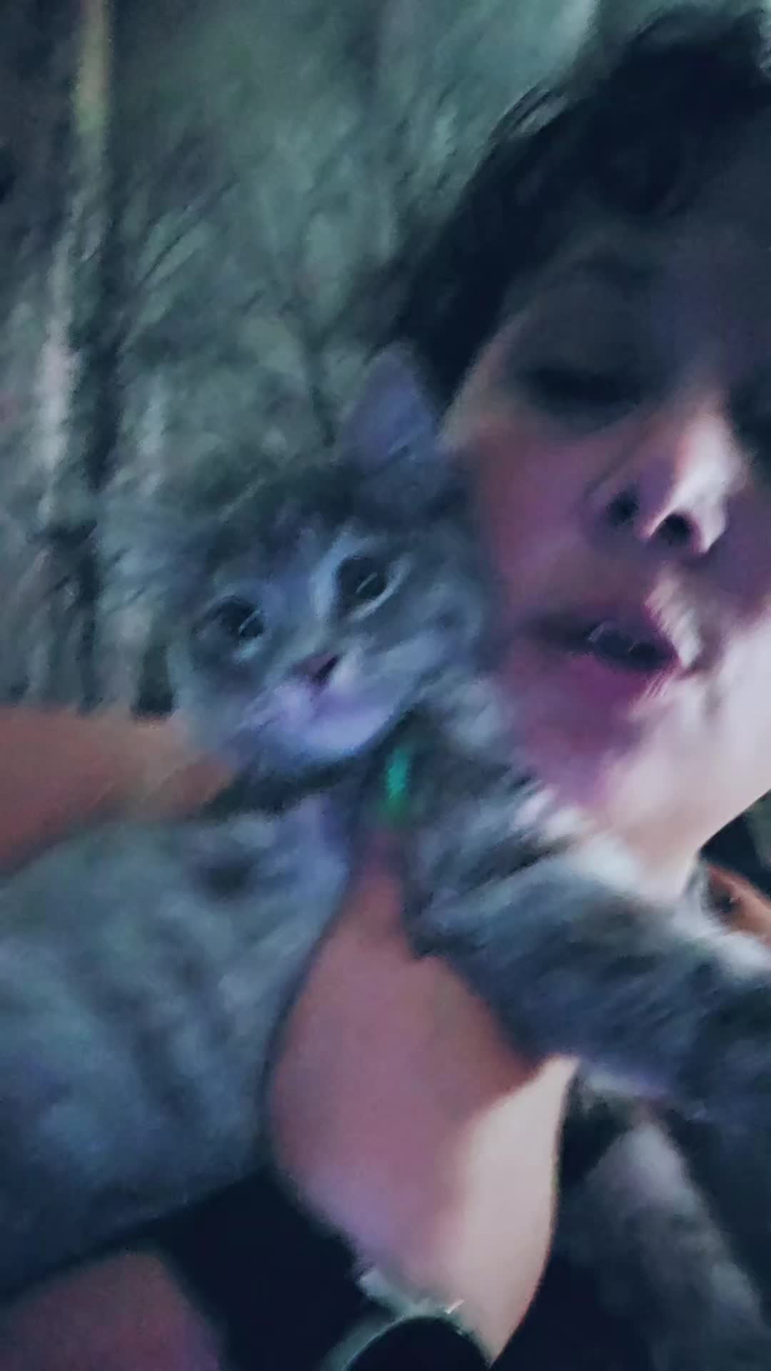 @Insane Cat Queen